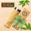 Premium Bamboo Tea Bottle by Shopsery image 5