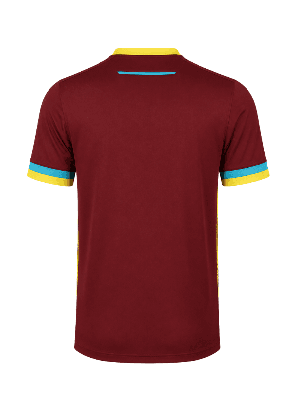 West Indies ICC T20 World Cup 2023-24 Cricket Jersey – Fan Version by Shopsery image 2