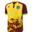 West Indies ICC T20 World Cup 2023-24 Cricket Jersey – Fan Version by Shopsery image 1