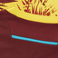 West Indies ICC T20 World Cup 2023-24 Cricket Jersey – Fan Version by Shopsery image 5