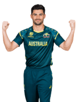 Australia ICC Men's T20 World Cup 2026 Cricket Jersey – Fan Version by Shopsery - Image 4